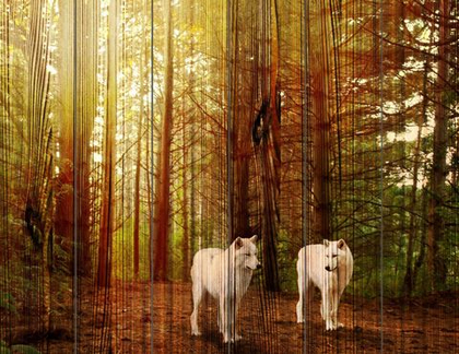 Панно из дерева Wolves In Woods