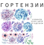 гортензии