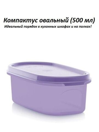 Компактус овальный (500 мл)