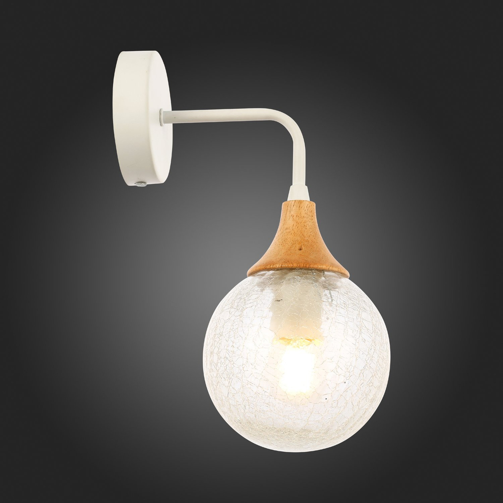 Светильник настенный ST Luce Lione SLE109501-01