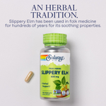 Solaray, True Herbs, красный вяз, пищевая добавка, 400 мг, 100 растительных капсул