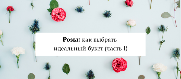 Розы: как выбрать идеальный букет (часть 1) Розы: как выбрать идеальный букет (часть 1)