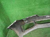 DSCN0377.JPG