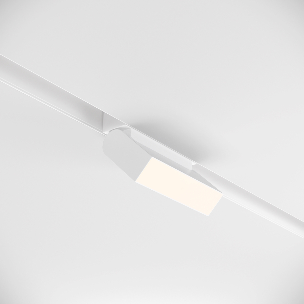 Магнитный трековый светильник Maytoni BASIS TR013-2-10W4K-W
