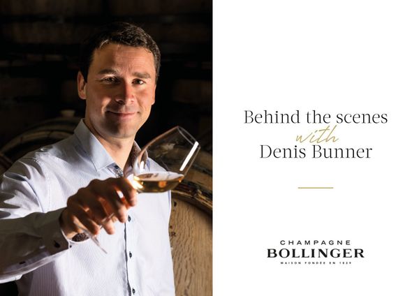 "За кулисами" Bollinger с энологом Denis Brunner "За кулисами" Bollinger с энологом Denis Brunner