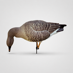 Гусь гуменник Duck Mania "ELITE"