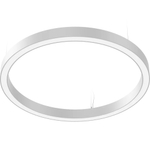 Светильник LED CYCLE P LED 2000 WH 4000K СТ