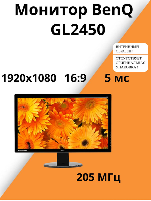 Монитор BenQ GL2450