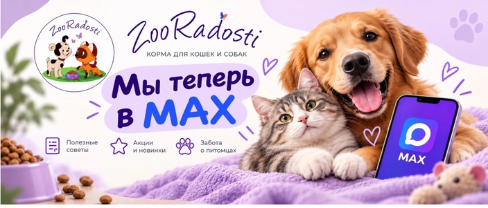 Мы в MAX