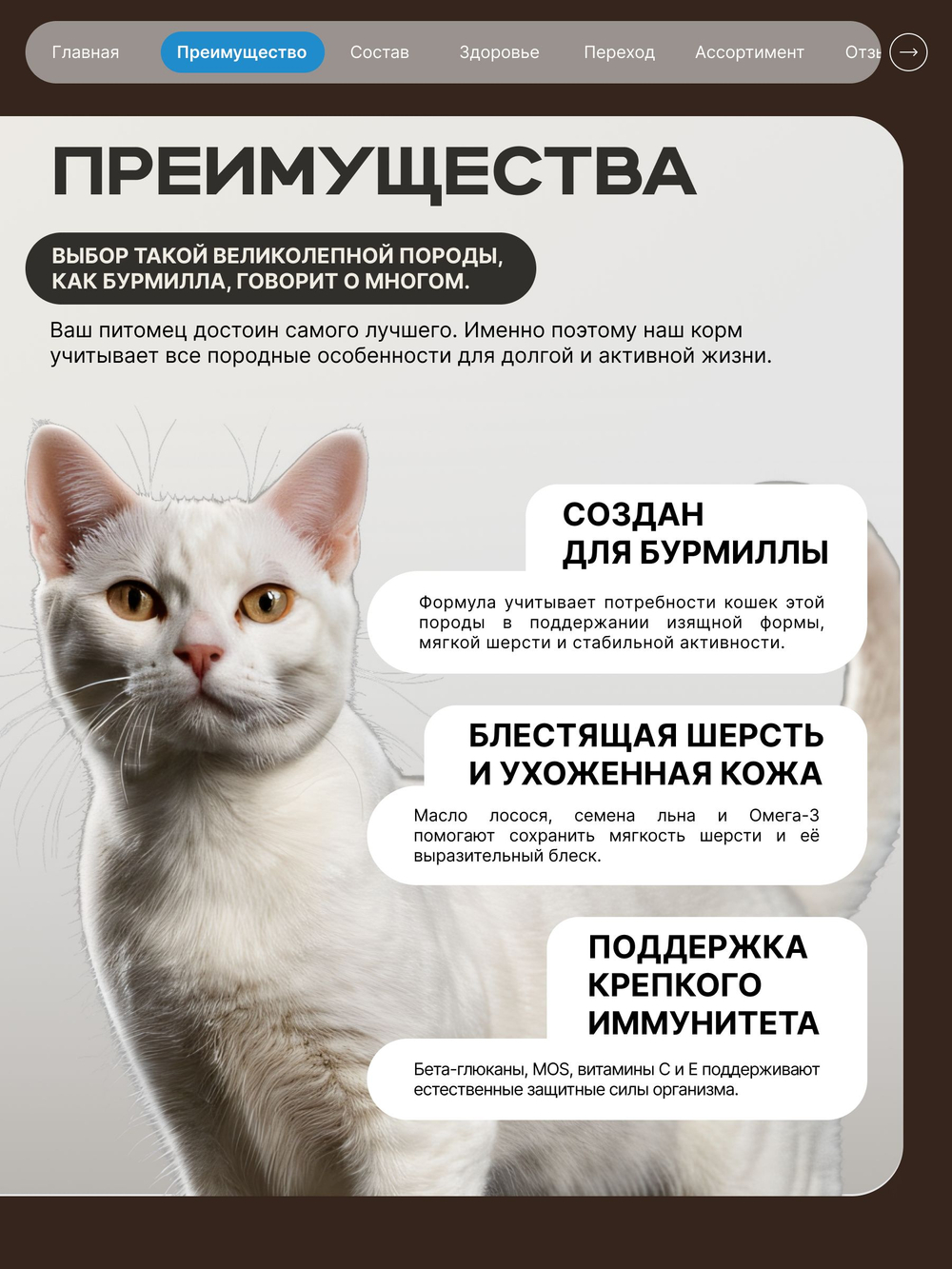 Корм сухой для взрослых кошек породы Бурмилла, с лососем, 5 кг, QUATTRO