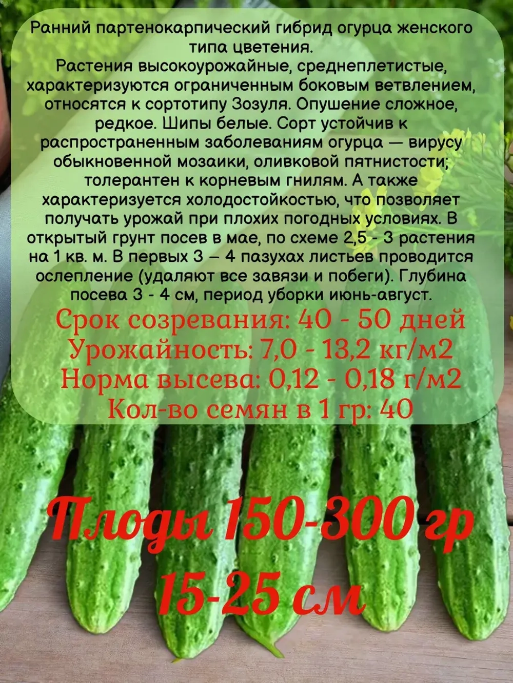 Семена Огурец Апрельский ранний самоопыляемый 10гр