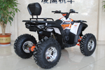 Квадроцикл GBM STORMRIDER 300 NEW PREMIUM