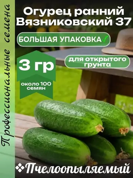 Семена Огурец Вязниковский 37 Пчелоопыляемый раннеспелый 3гр