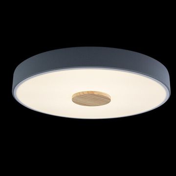 Потолочный светильник LED 24W 4000К 10003/24 Grey серый Axel LOFT IT