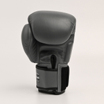 Боксерские перчатки Twins BGVL-3 Gray