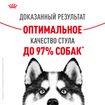 Royal Canin Maxi Digestive Care Макси Дайджестив кэа Корм сухой для взрослых собак больших размеров с чувствительным пищеварением 12кг