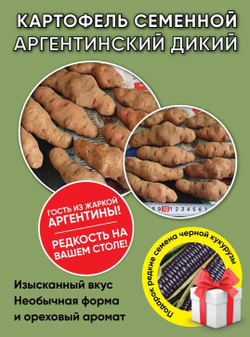 Дикий картофель, 4 сорта