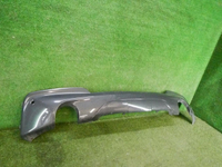 DSCN5268.jpg