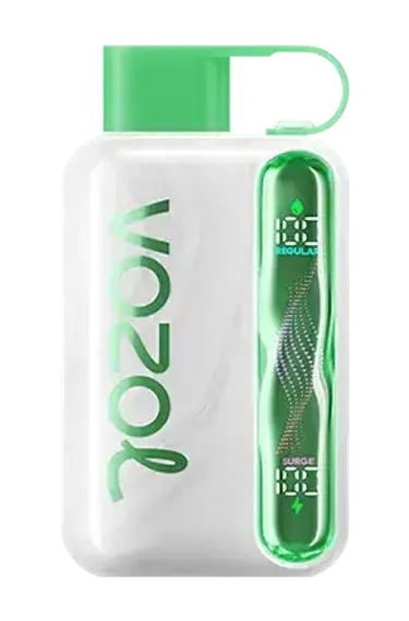 Vozol STAR 40000 - Watermelon Ice (5% nic)