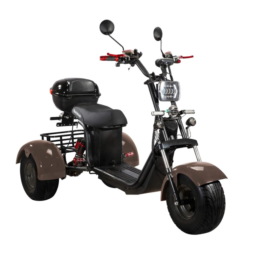 Электроскутер CityCoco SKYBOARD BR40-3000 OFF-ROAD Trike коричневый