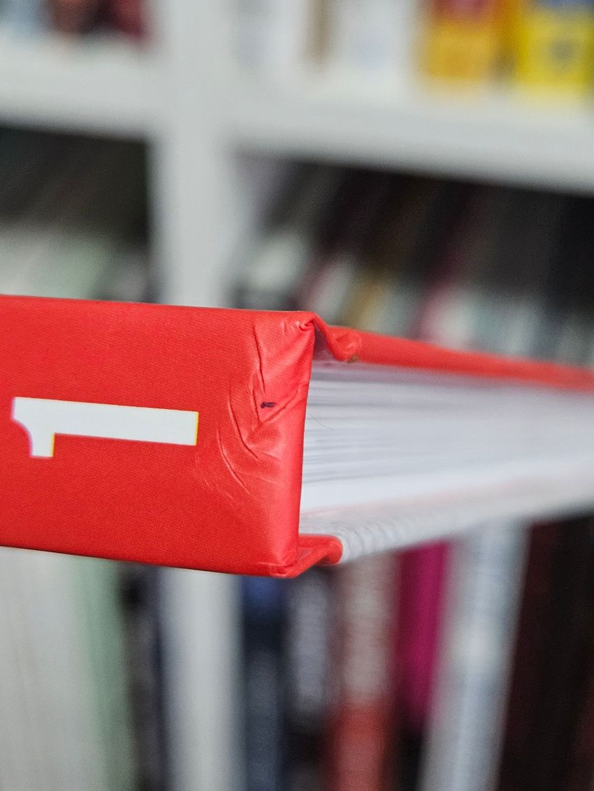 Союзники. Книга 1. Перед рассветом (Твёрдый переплёт). Уценка