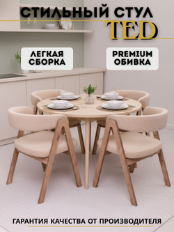 Стул мягкий для кухни TED кресло для дома