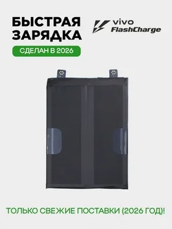 Аккумулятор для iQOO Neo 8/8 Pro (B-Z2) 5000 mAh