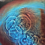Pink Floyd / Meddle (LP)