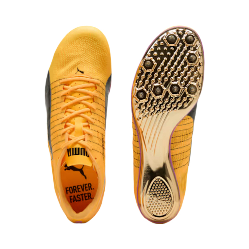 PUMA EvoSPEED BRUSH 6 Track And Field Shoes Unisex