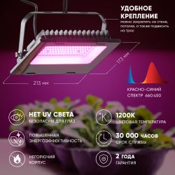 Фитопрожектор для растений светодиодный ЭРА FITO-50W-RB-LED для цветения и плодоношения красно-синего спектра 50 Вт | Фито прожекторы