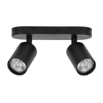 Настенно-потолочный светильник Arte Lamp AQUARIUS A3226PL-2BK