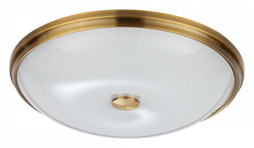 Накладной светильник Odeon Light Pelow 4956/5