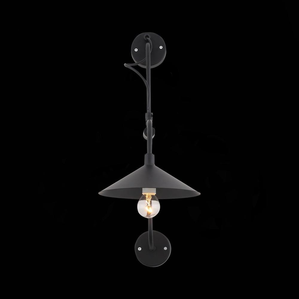 Светильник настенный ST Luce Sсarno SL265.401.01