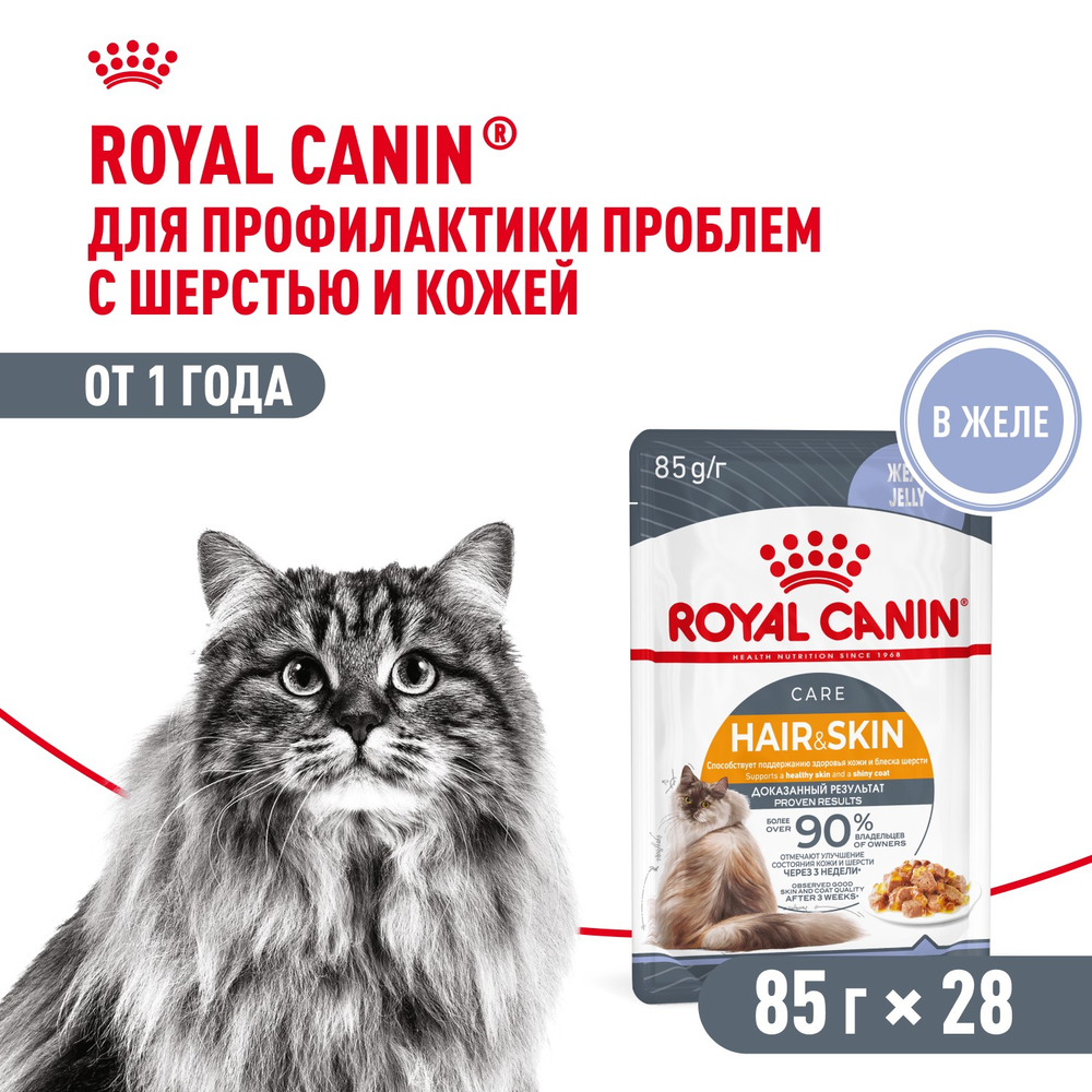 Royal Canin Hair&Skin Care Хэйр Энд Скин Корм влажный для взрослых кошек поддержание здоровья кожи и шерсти желе 85г