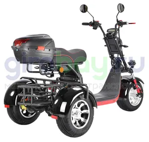 Электроскутер WHITE SIBERIA PRO TRIKE 3000W (Черный) фото №3