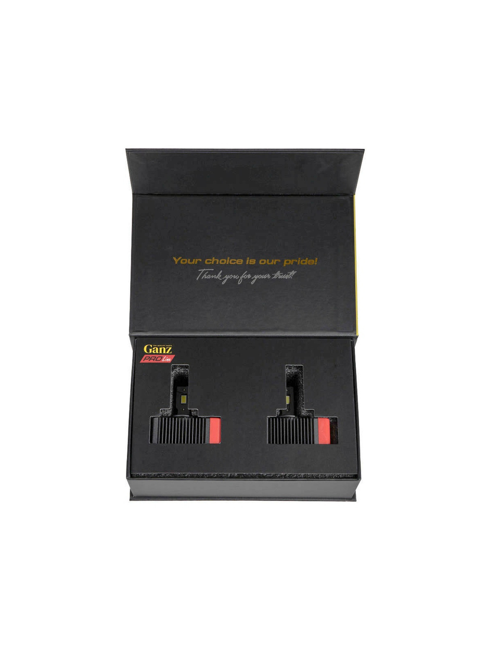 Лампа светодиодная 12/24V D5S 36W 3000lm 6000K (LED) GANZ PRO-Line 2 шт. DUOBOX IP68 GIP06371