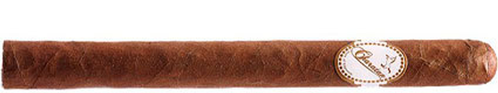 Charatan Panetela