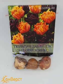 Тюльпаны луковицы многолетние. Контрастная смесь окрасок