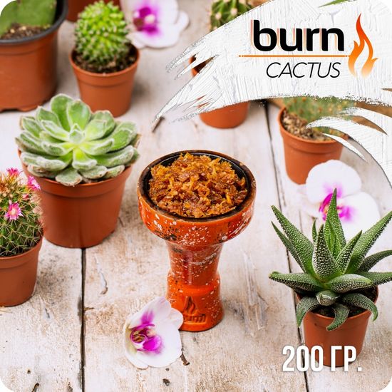 Burn (Cactus), 200 гр.