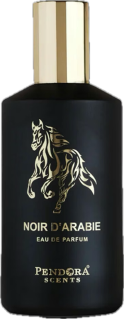Pendora Scents Noir d'Arabie Eau De Parfum 100 ml (unisex)