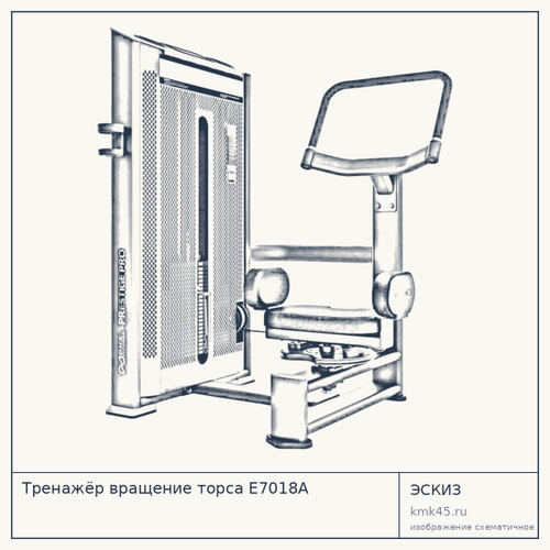 Тренажёр вращение торса E7018A — от 173 000 ₽
