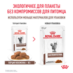 Royal Canin Gastrointestinal Гастроинтестинал Корм влажный диета для взрослых кошек при расстройствах пищеварения 85г