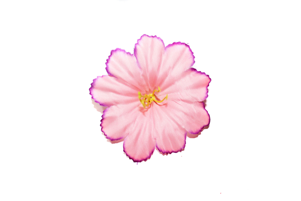Лилия атлас