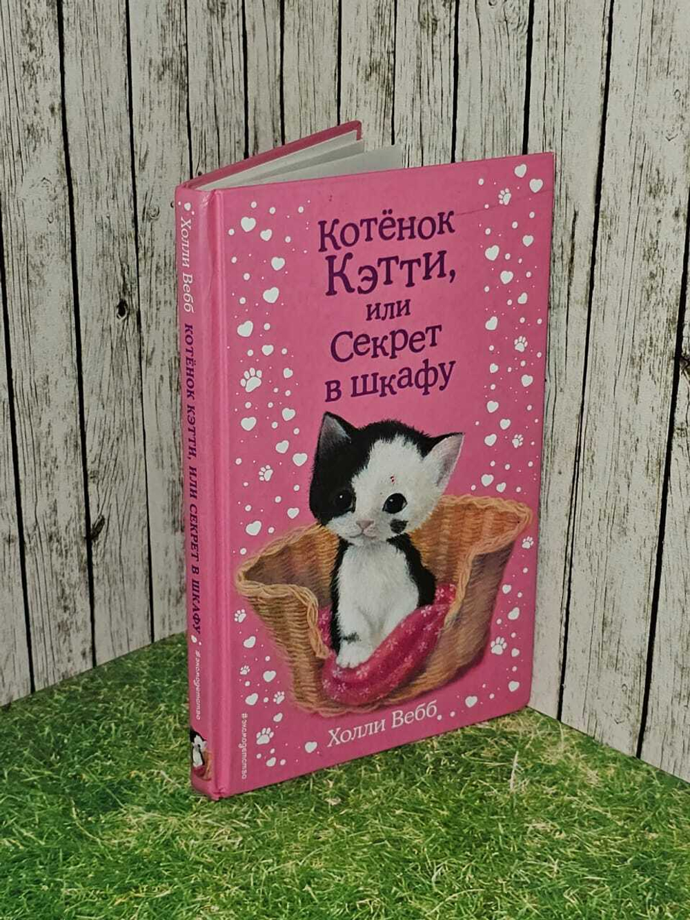 Котёнок Кэтти, или Секрет в шкафу. Вебб Холли