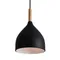 Подвесной светильник Enface FR5466PL-01B Freya