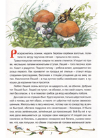 Клад заветный