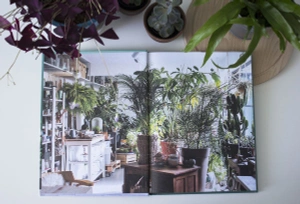 Urban Jungle. Как создать уютный интерьер с помощью растений