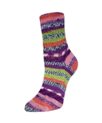 Пряжа Rellana Flotte Socke 4f. Roma (3221)