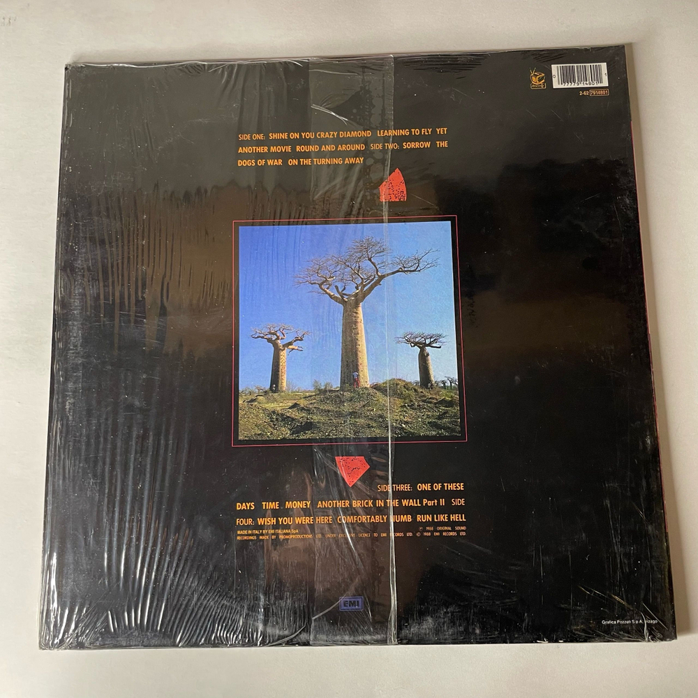 Винтажная виниловая пластинка LP Pink Floyd Delicate Sound Of Thunder (Италия 1988)