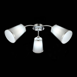 Светильник потолочный Evoluce Maleonte SLE103002-03